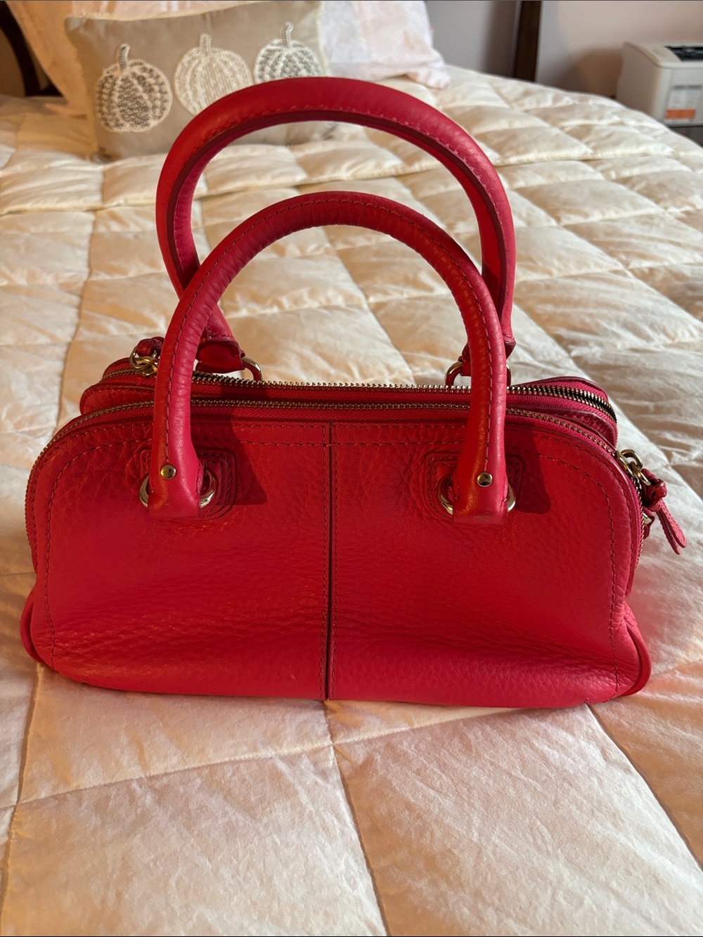 Cole Haan Beautiful Pebbled Red Leather Bag